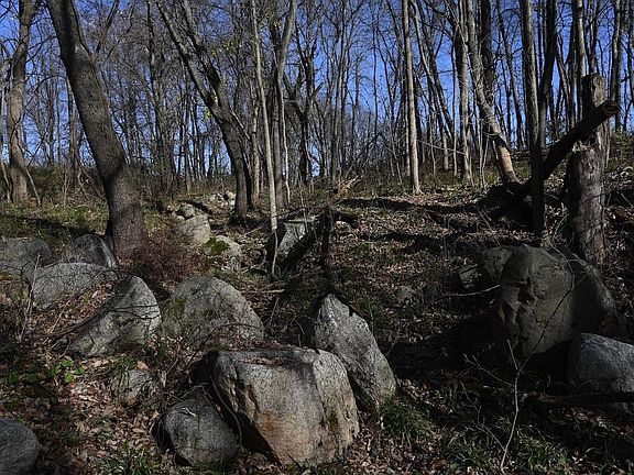 4th image of 55824 County Line Rd