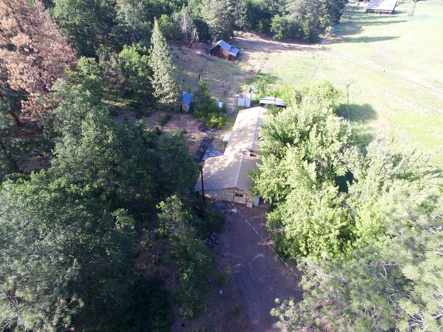 3 bedroom 1.5 bath on 5 acres. — Photo 2