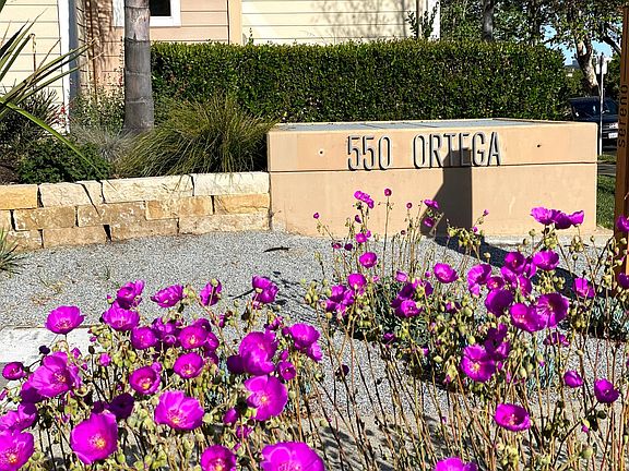2nd image of 550 Ortega Ave APT B223