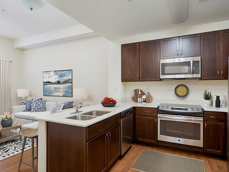 Kitchen with Living Area