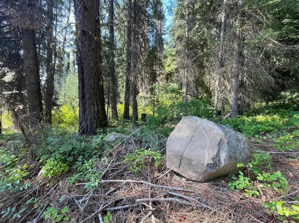 3 Willow Creek Trl, Cascade, ID 83611
