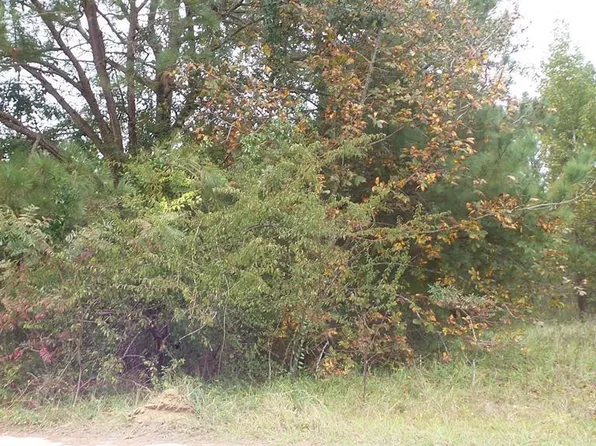 1 Newfield Cir, Elloree, SC 29047