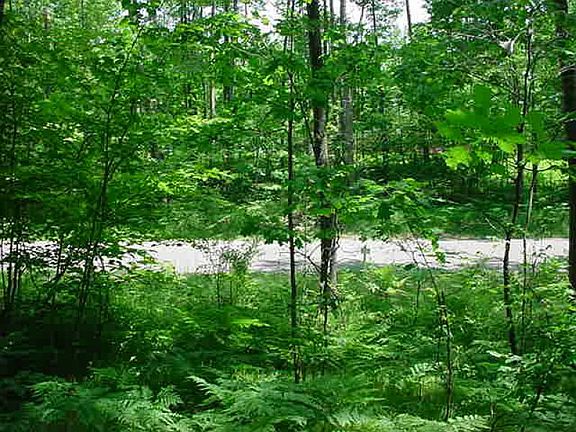 5th image of 6166 Fox Run Cir