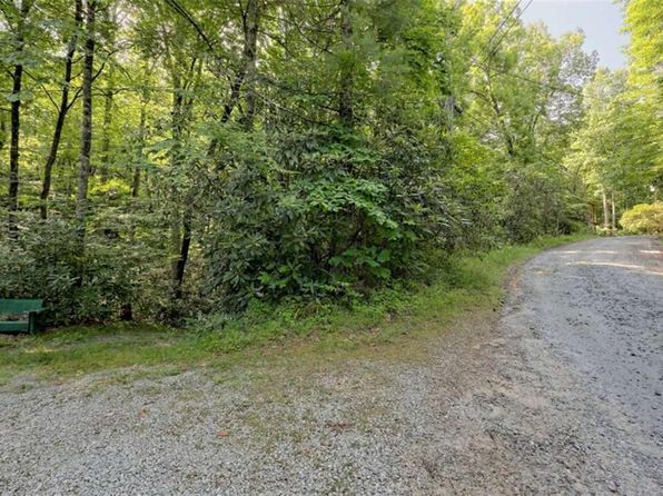165 Chickasaw Ln, Rabun Gap, GA 30568