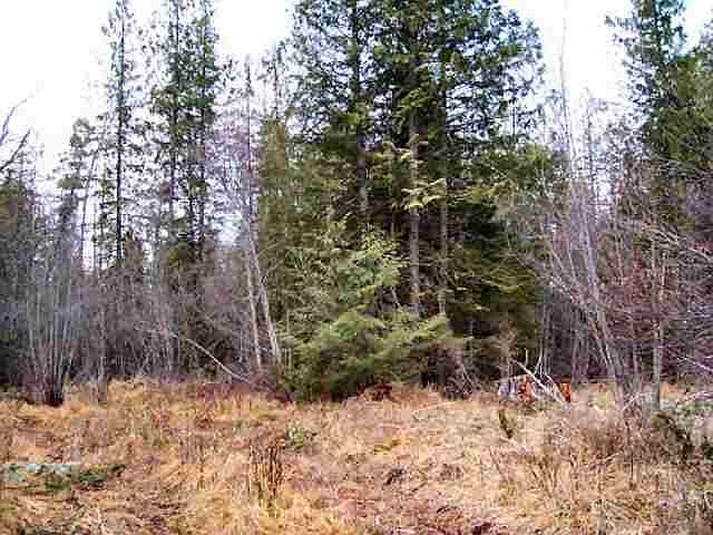 2nd image of 2640XX Mud Lake Rd