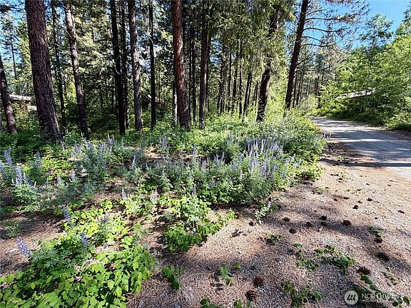 3rd image of 11 Highland Meadows