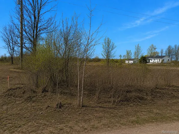 2969 Reeves Rd, Riley, MI 48041