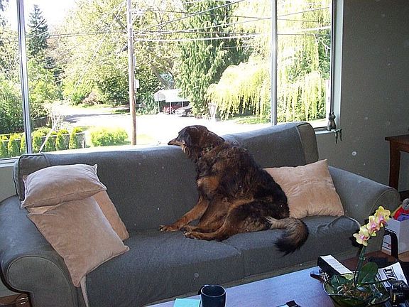 Great territorial views from the front windows