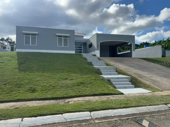 0 Calle Tulipan, Dorado, PR 00646