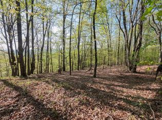 52 Mountainside Ct #52, Cleveland, GA 30528