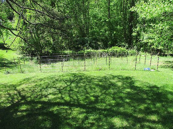 Garden W/ Elect. fence.