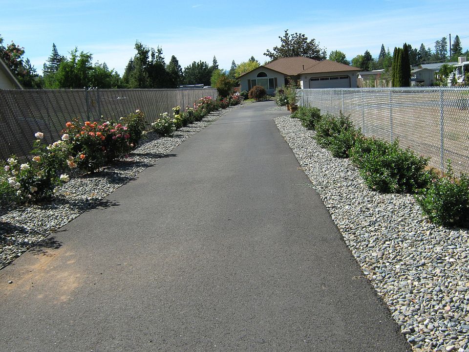 Rose lined driveway
