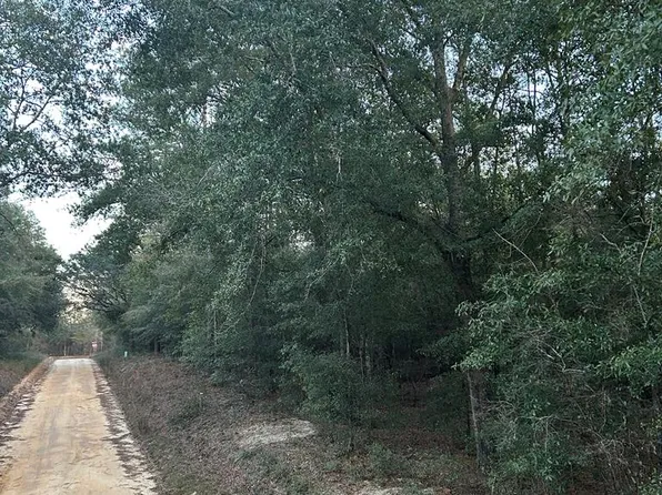 0 Pine Logging Rd, Donalsonville, GA 39845