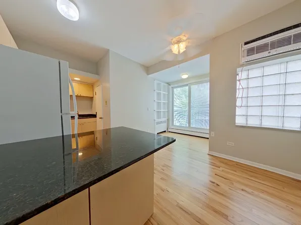 1247 N. State Pkwy, 1247 State St #203, Chicago, IL 60605