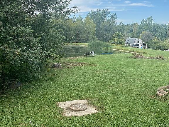 Almost 4 acres 
