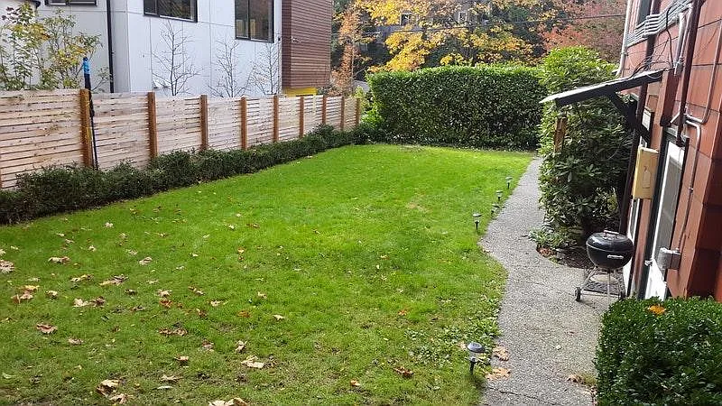 Studio, 300 sqft, $1,195 — Photo 1