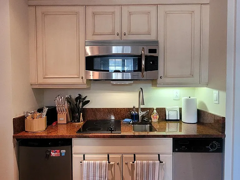 1701 Locust St #15-1917 — Photo 7