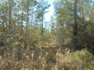SW Open Sands Loop, Greenville, FL 32331