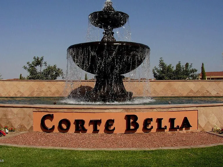 22414 N San Ramon Ct — Photo 21
