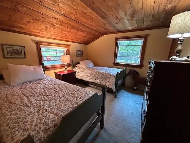442 Jobs Creek Rd — Photo 11