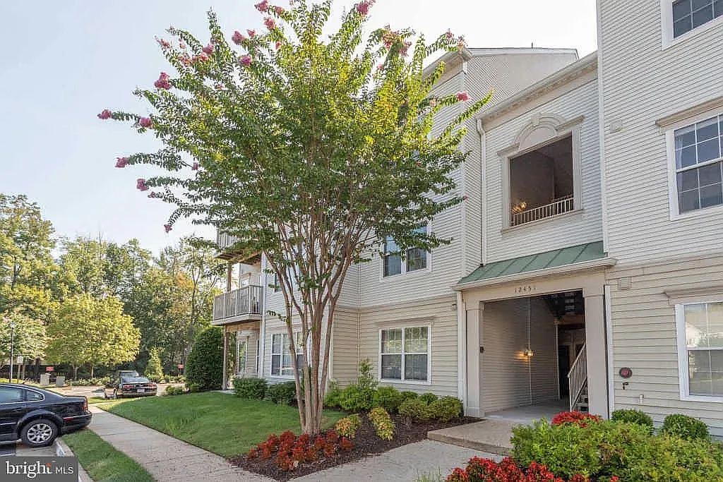 2 bed, 1133 sqft, $2,450 — Photo 4