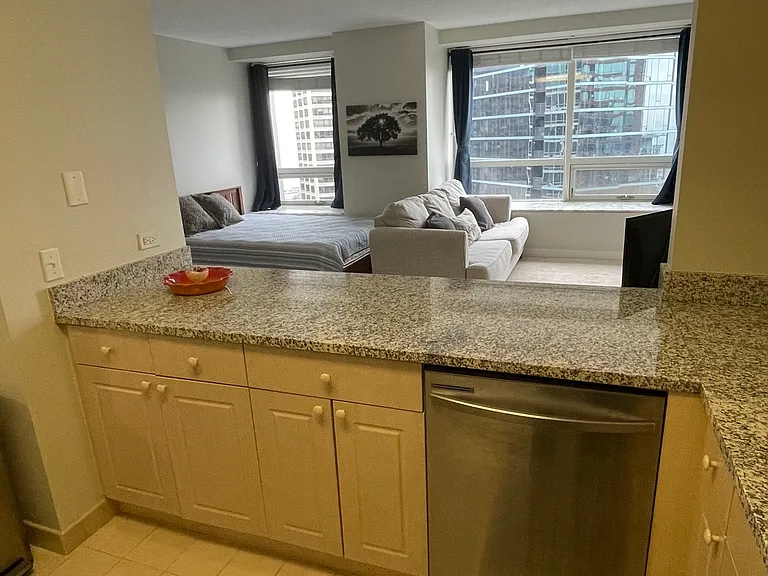 512 N McClurg Ct #3002 — Photo 5