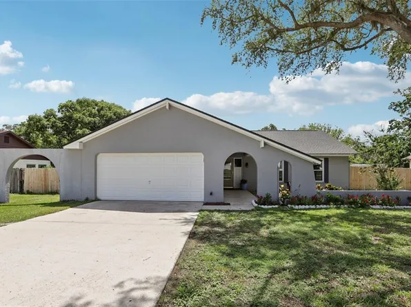 1009 Black Knight Dr, Valrico, FL 33594