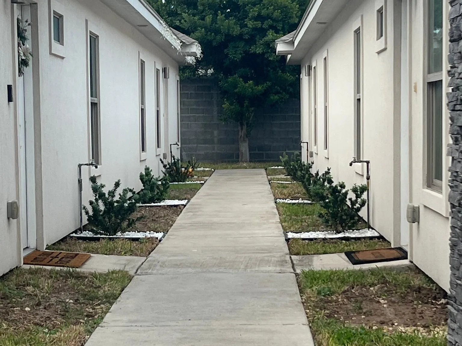 3 bed, 1240 sqft, $1,350 — Photo 2