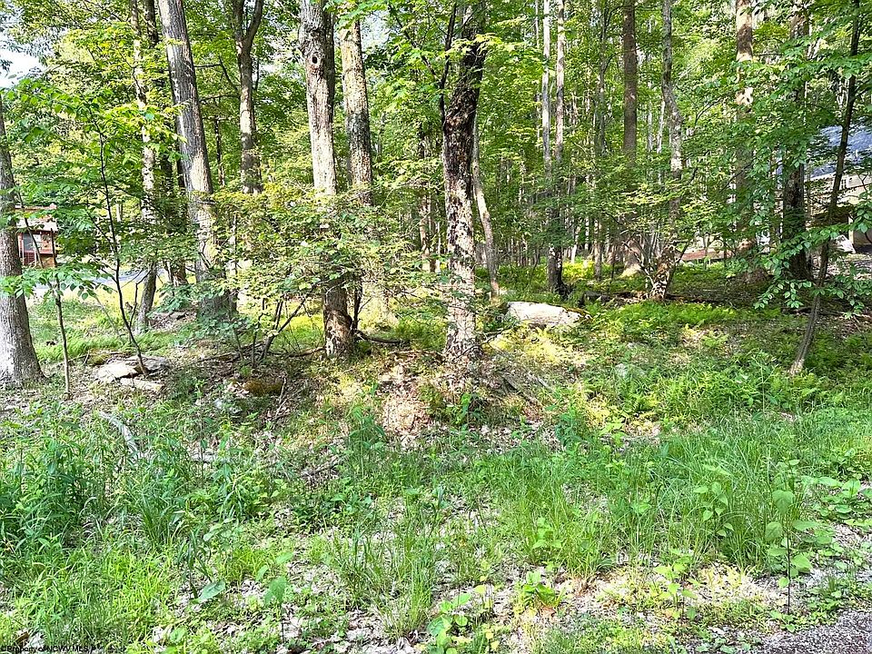 1st image of 43 Clover Dr