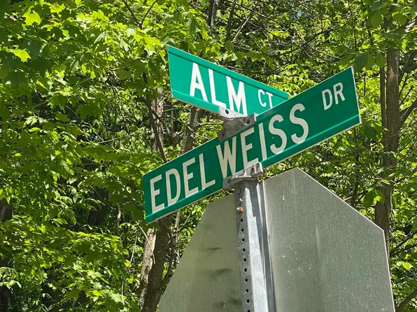 LOT 229&230 E Edelweiss Dr, Bellaire, MI 49615