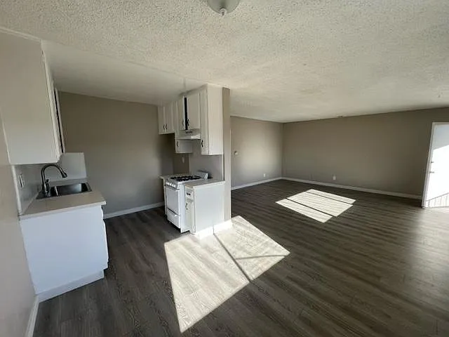 living room / kitchen