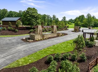 11 Waterstone, Mineral Bluff, GA 30559