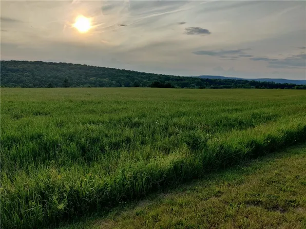 2096 County Road 32 #10, Greene, NY 13778