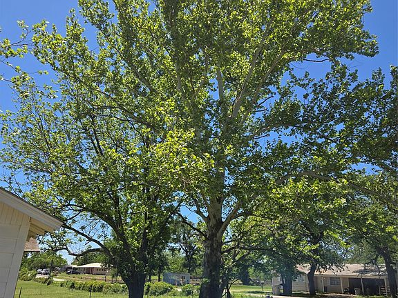 4th image of 305 S Leon St