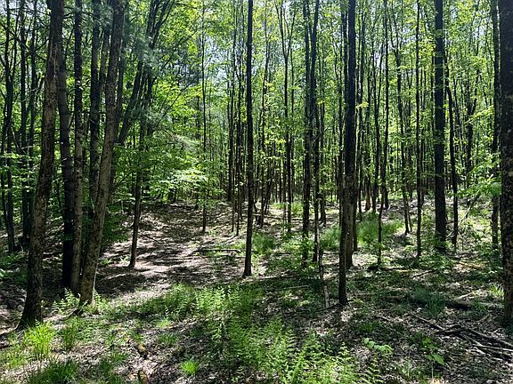 5th image of 1.1 Marsh Rd #1