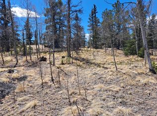 730 Tepee Trl, Como, CO 80456