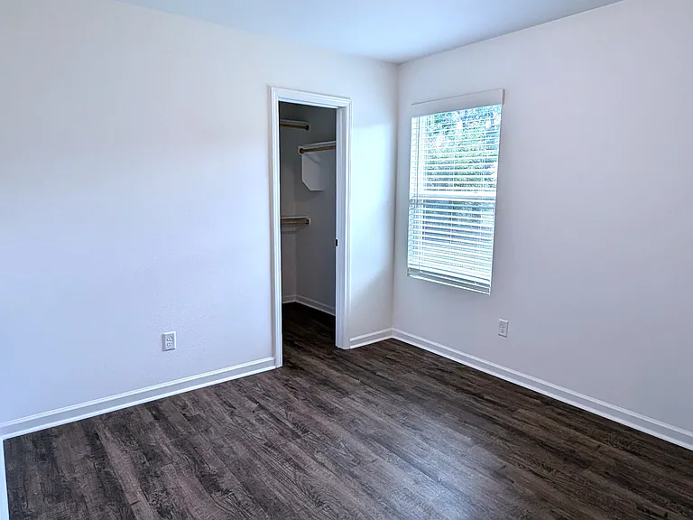 1109 Downy Dr — Photo 6