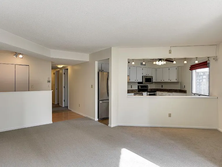 121 Washington Ave S #1102 — Photo 12