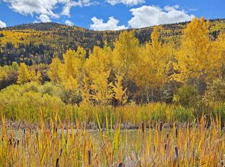 PARCEL 6 Highway 65, Mesa, CO 81643