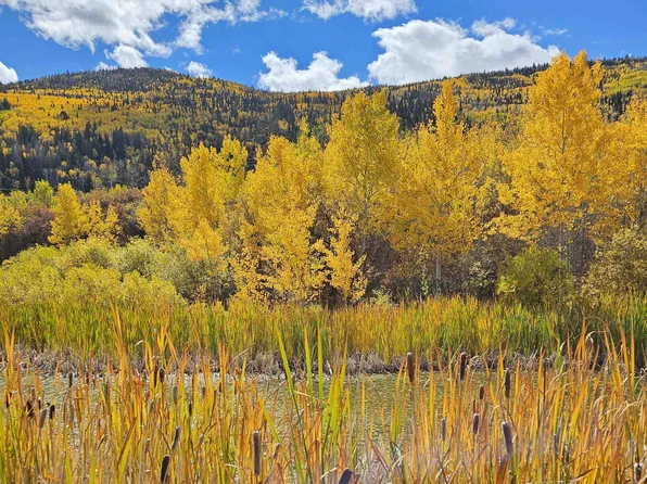 PARCEL 6 Highway 65, Mesa, CO 81643