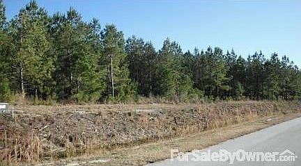 Lot 67 from Road
						:
						Large wooded lot on Old Stanton Road! Did NOT flood during Hurricane Irene!