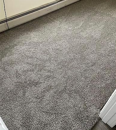 5th image of 302 3rd Ave S Unit 2