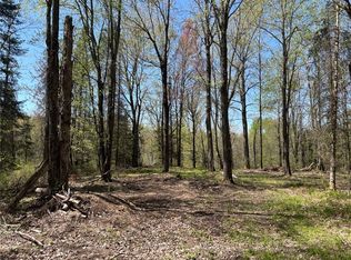 0 W Smith Rd, Exeland, WI 54835