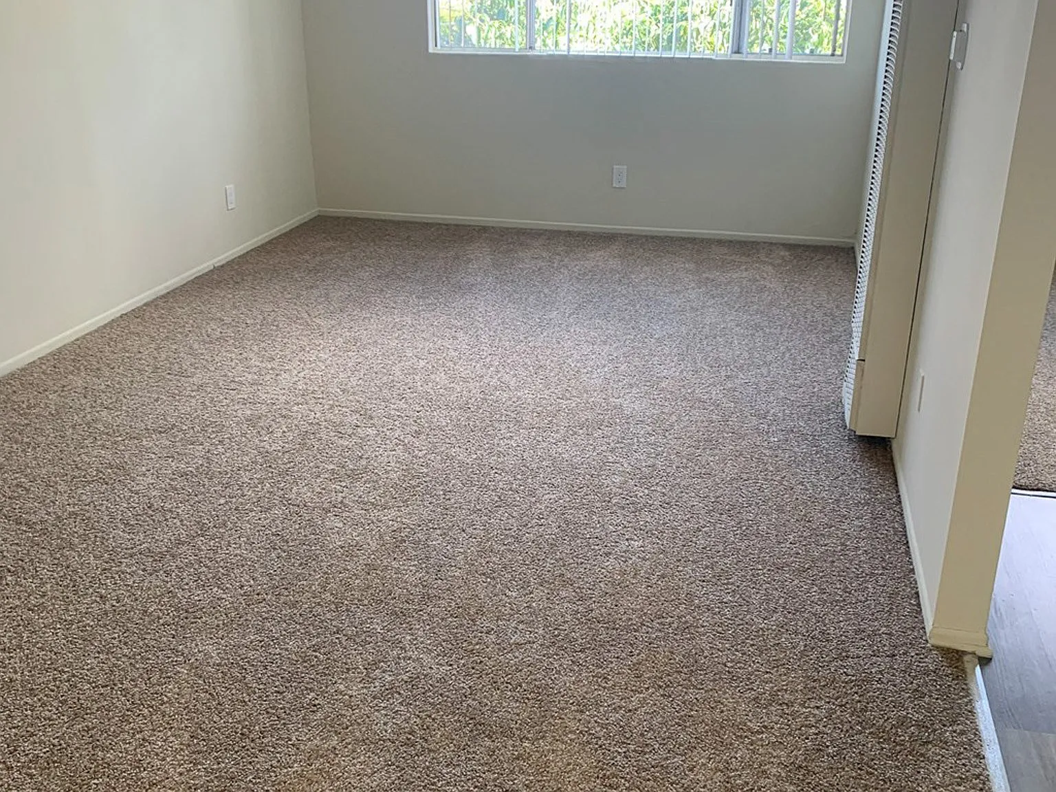 1310 W. D Street — Photo 4