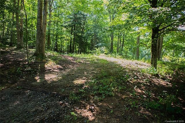2nd image of 9999 Pine Ridge Rd