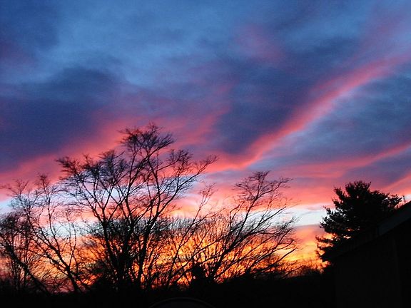 View of our backyard