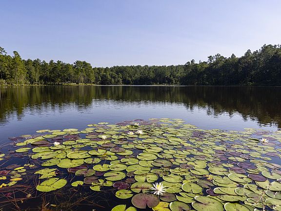 5th image of 468 Oak Rd