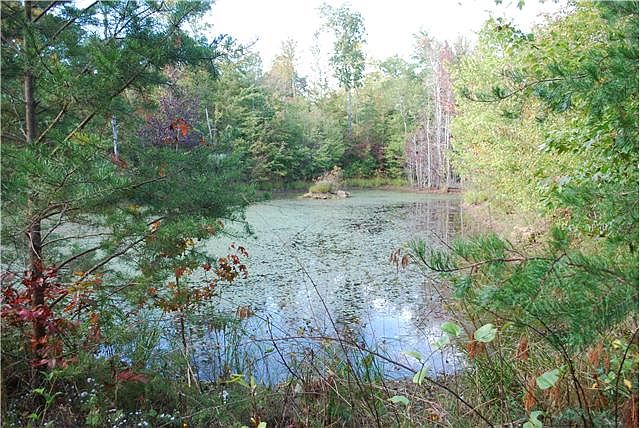 2nd image of 29 Azalea Ridge Rd Lot 29