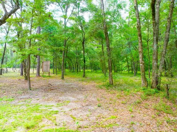 60 Revell Rd, Crawfordville, FL 32327