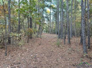 McPhail Rd, Harleton, TX 75651